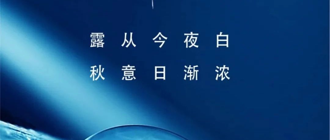寒露 | 露從今夜白  秋意日漸濃！