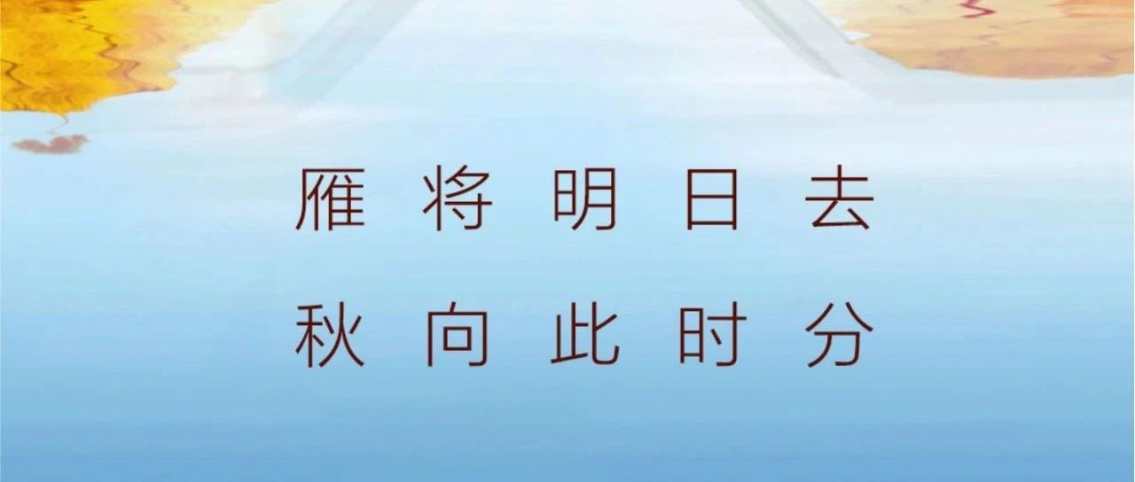 秋分 | 雁將明日去  秋向此時(shí)分！
