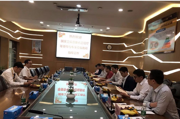 國家工信部及省工信廳等領導與專家蒞臨華昌鋁業(yè)指導工作